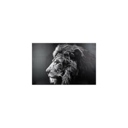 Toile imprimée Lion 78 x 118 cm Atmosphera