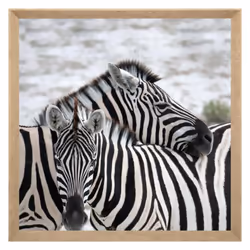 [img-18316-left-home_default] Description: Si vous aimez les animaux, alors vous craquerez pour la toile imprimée cadre Anima ...