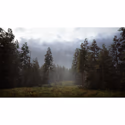 Bigben Interactive Hunting Simulator 2 Standard PlayStation 5
