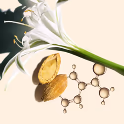 Clarins Nutri-Lumière SPF15 Crème de jour Visage, Cou 50 ml
