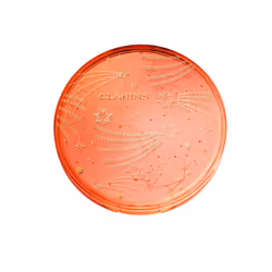 Bronzing Compact poudre bronzante édition limitée 19 gr