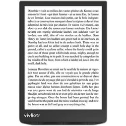 Liseuse eBook VIVLIO InkPad 4