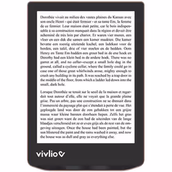 Liseuse eBook VIVLIO LIGHT HD Bronze