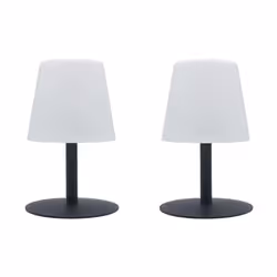 Description générale Le pack de deux lampes de table TWINS à LED est conçu pour apporter une touche moderne et élégante à vot ...