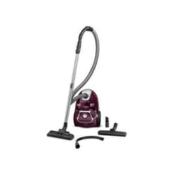 Traîneau Rowenta RO3969EA 3L 750W Easy Brush Bordeaux Argent