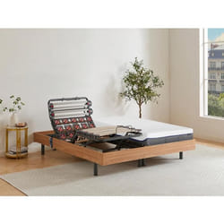 Lit électrique de relaxation lattes et plots + matelas mémoire de forme - 2 x 80 x 200 cm - Chêne - DIONYSOS de YSMÉE