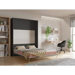 Lit escamotable 160 x 200 cm - Ouverture verticale manuelle - Anthracite et naturel - MALINA II