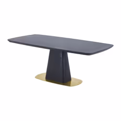 Table à manger 8 personnes placage frêne et métal - Noir et doré - DYLORA - Vue supplémentaire 2