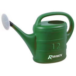 Arrosoir 12L avec pomme darrosage démontable - en polyéthylène BMI Jardinage Arossage plantes fleurs jardin et plantation