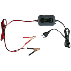 Chargeur d'Entretien DUNLOP 6/12V 230V - Maintien Batterie Véhicule, Détection Automatique, Facile & Sécurisée