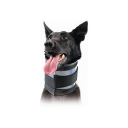 Collier cervical pour chiens kvp Noir (9-36 cm)