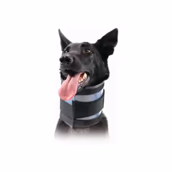 Si vous êtes à la recherche de nouvelles tendances sur le marché, nous vous présentons Collier cervical pour chiens KVP Noir  ...