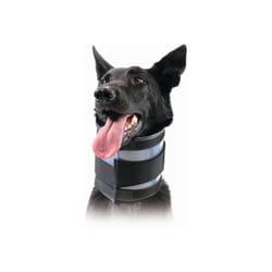 Sans Marque - Collier cervical pour chiens kvp Noir (13-48 cm)