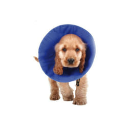 Collier de protection Isabelino pour chiens kvp ez Soft Bleu (30-50 cm)