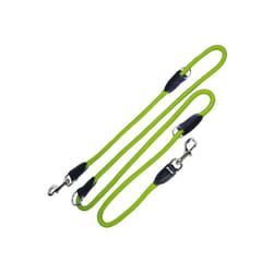 Laisse pour Chien Gloria 1.2 x 200 cm Vert