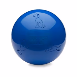 Jouet pour chien Company of Animals Boomer Bleu (100mm)
