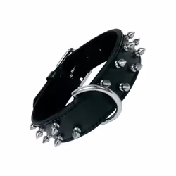 Si vous êtes à la recherche de nouvelles tendances sur le marché, nous vous présentons Collier pour Chien Gloria Noir Clous ( ...
