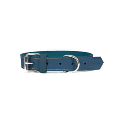 Gloria - Collier pour Chien Oasis Bleu (60 x 3 cm)