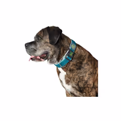 Si vous êtes à la recherche de nouvelles tendances sur le marché, nous vous présentons Collier pour Chien Hunter Plus Fil tur ...