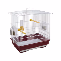 La cage pour canaris et petits oiseaux exotiques GIUSY est livrée avec des accessoires pratiques tels qu'un perchoir, un abre ...