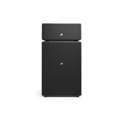 Enceinte sans fil Audio Pro Bluetooh Drumfire II Noir