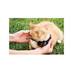 PetSafe - Collier supplémentaire pour clôture anti-fugu chat, 4 niveaux de stimulation, léger, réglable et anti-étranglemen