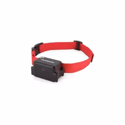 Petsafe - Collier supplémentaire Super Radio Fence - Pour clôture anti-fugue pour chien compatible avec tous les produits petsaf