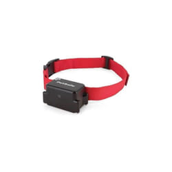 Petsafe - Collier supplémentaire Super Radio Fence - Pour clôture anti-fugue pour chien compatible avec tous les produits petsaf