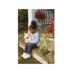 PetSafe - Clôture Anti-Fugue Deluxe avec Collier spécial Chat - Étanche - 4 Niveaux de Stimulation – Systeme Anti-étrangle