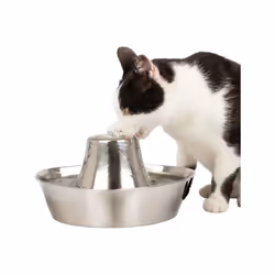 Fontaine pour Animaux - PETSAFE - SEASIDE - Inoxydable - 1,8 L - Silencieuse - Eau filtrée