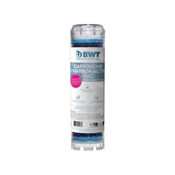 BWT - Cartouche charbon actif granulé - Capacité de traitement d'environ 6 mois