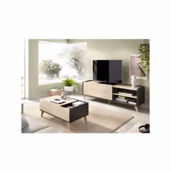 Le set NESS est composé d'un meuble TV avec deux larges niches et porte battante, ainsi que d'une table basse avec plateau sn ...