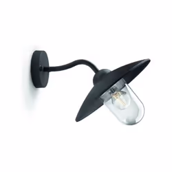 Applique d'extérieur Philips - Hammock - Noir - Verre transparent - IP44