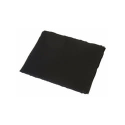 Filtre à charbon Electrolux E3RWAF01
