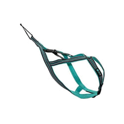 Harnais de traction pour chien - olympia - xl - Type X-back - Bleu