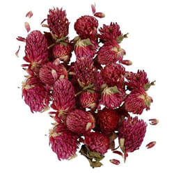 Fleurs séchées - Trèfle rouge 30 g