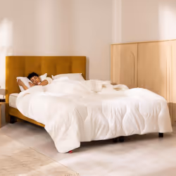 La couette mi-saison de la marque Epeda est parfaite pour les chambres dont la température avoisine les 20°C. Fabriquée en Fr ...