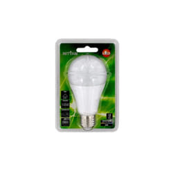 Ampoule led 12W ronde globe A60 culot vis E27 blanc chaud 3000K 1050lm 230V non-dimmable usage domestique Nityam LDB-12W-940