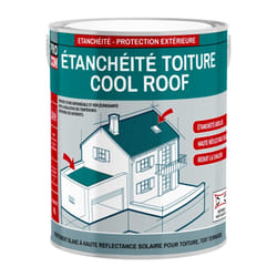 Procom - Peinture toiture étanche Cool Roof, peinture réfléchissante blanche, anti chaleur ffffff 2.5 litres