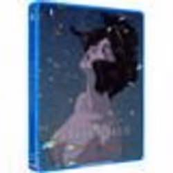 Perfect Blue - Film - Edition Limitée Steelbook - Combo Blu-ray + DVD - Satoshi Kon - Thriller - Interdit -16