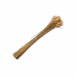 BOUQUET D EPIS BLE NATURELS 60 CM