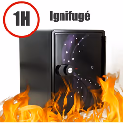 Coffre fort éléctronique ignifuge 1H Volume 40L Caractéristiques du coffre fort ignifuge FS-FM40 Reskal : Couleur : Noir, Rou ...