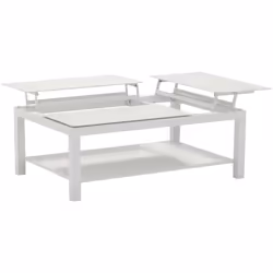 Aspect Matériau principal Aluminium Dimensions Hauteur (en cm) 42 Hauteur plateau relevé 54 cm Longueur (en cm) 120 Profondeu ...