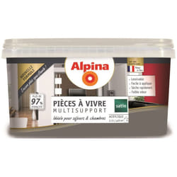 Peinture Acrylique Multisupports - Pièces à Vivre - Satin - 2,5L Finition: Satiné - Couleur: Gris anthracite ( ) - Alpina