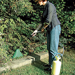 Ribimex PRPCP Accessoire de pulvérisateur de jardin