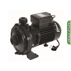 Ribimex PRRBK200 pompe à eaux