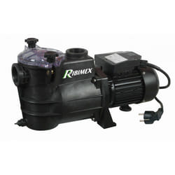 Ribimex PRSWIM550 pompe à eaux