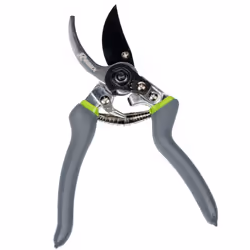 Ribimex PRSMC08