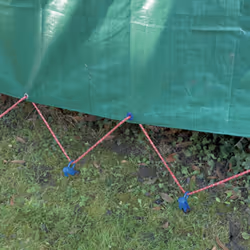 Ribimex PRBCE20 corde