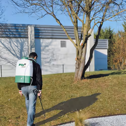 Ribimex PRP161DER Pulvérisateur de jardin